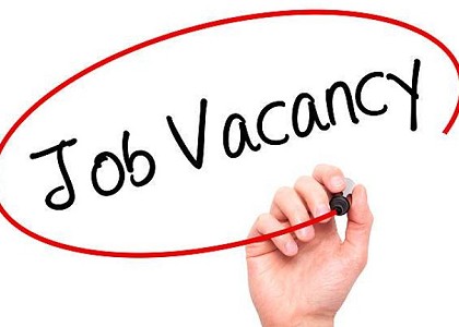 Vacancy: YIDU Secretary