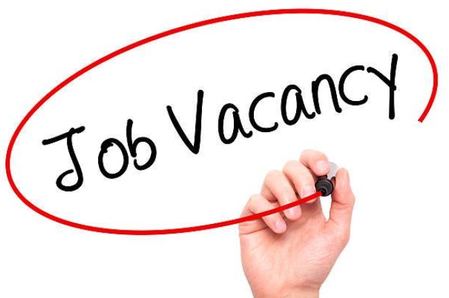 Vacancy: YIDU Secretary